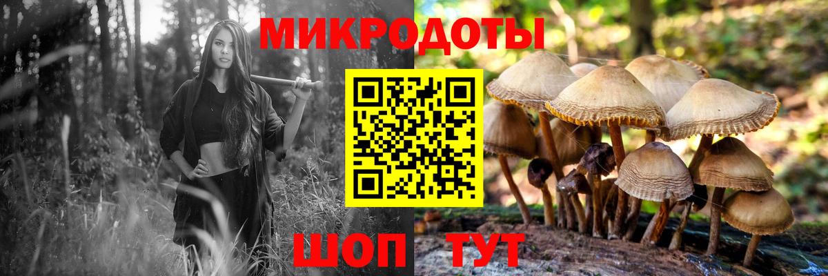 Псилоцибиновые грибы GOLDEN TEACHER  Галлюциногенные грибы GOLDEN TEACHER  Железноводск  Вход с VPN 
